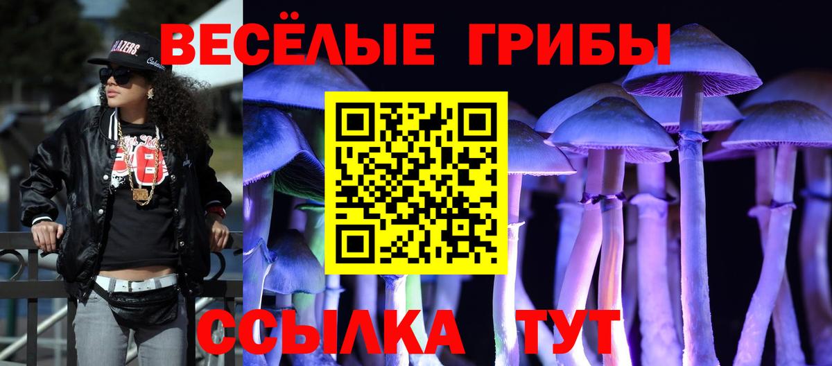 Псилоцибиновые грибы мицелий  Вход с VPN  Реж 